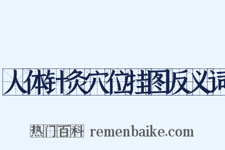 人体针灸穴位挂图反义词是什么意思的图片